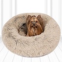DOG BEDS