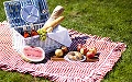 PICNIC