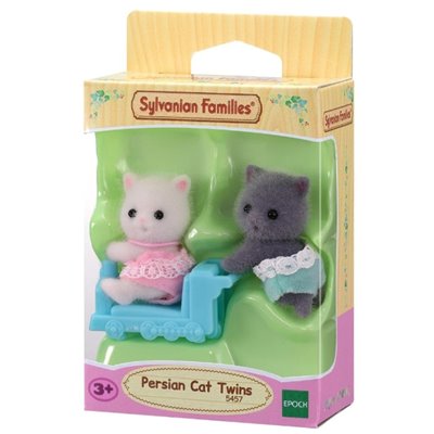 Persian Cat Twins 2020